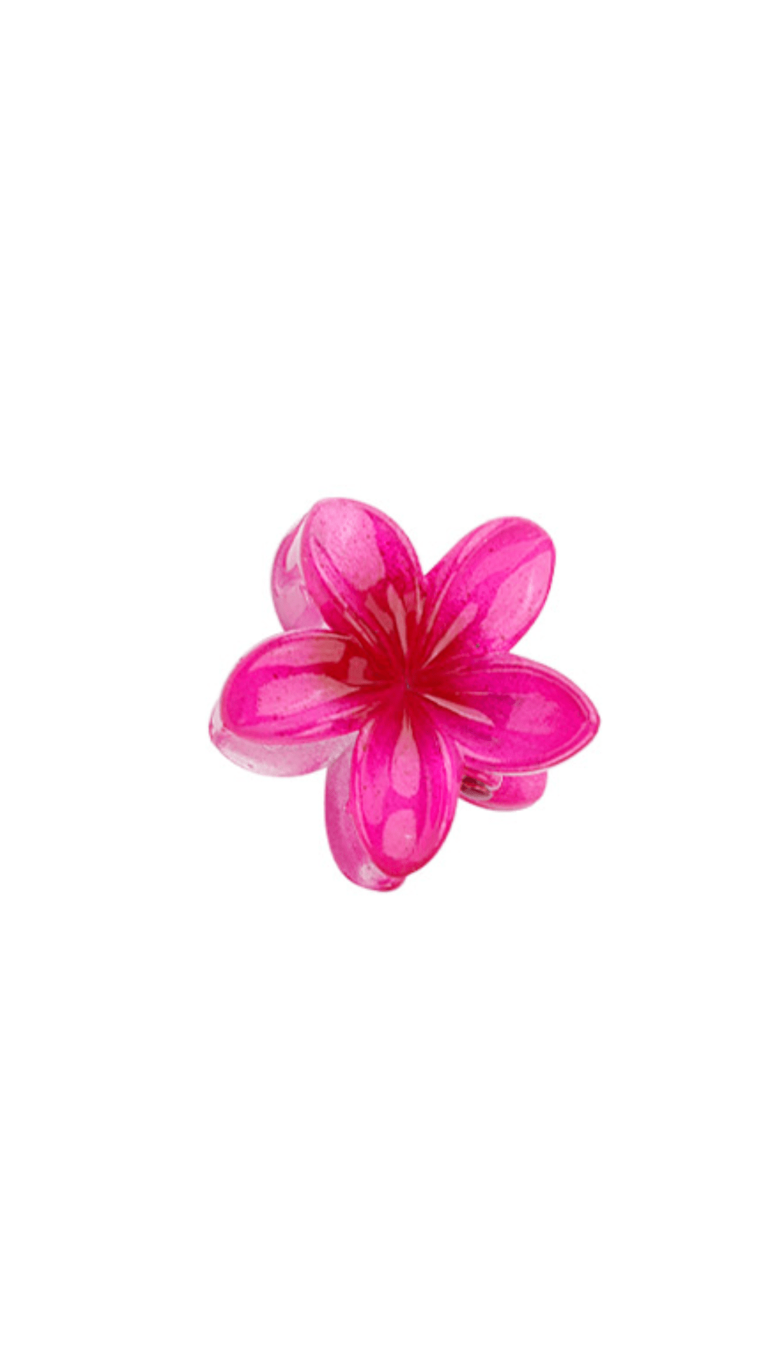 Fermaglio Mini Haiwaii