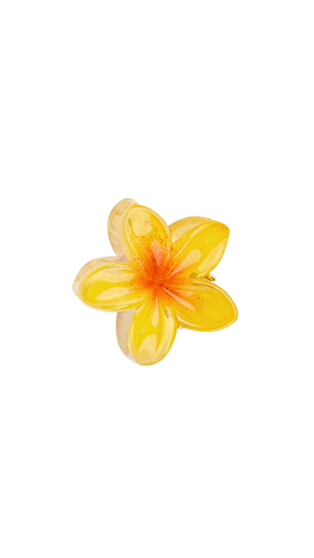 Fermaglio Mini Haiwaii